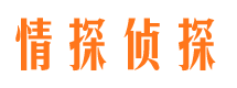 鼎湖市调查公司